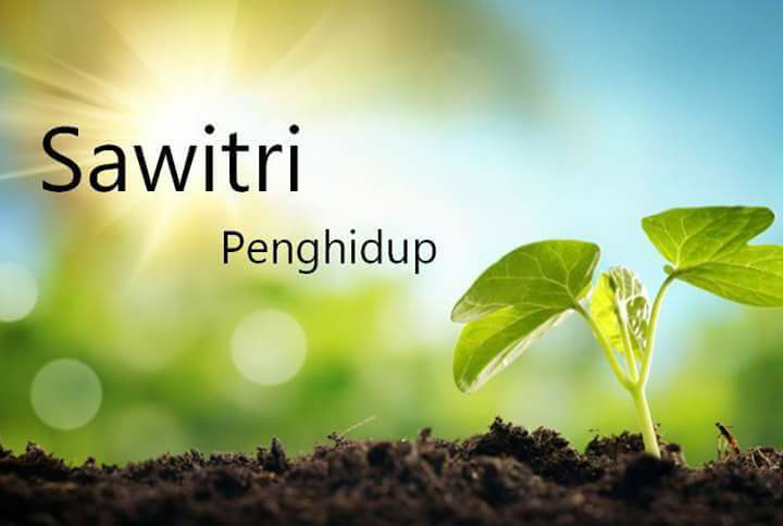 CEK ARTI NAMAMU DALAM BAHASA SANSKERTA DI SINI