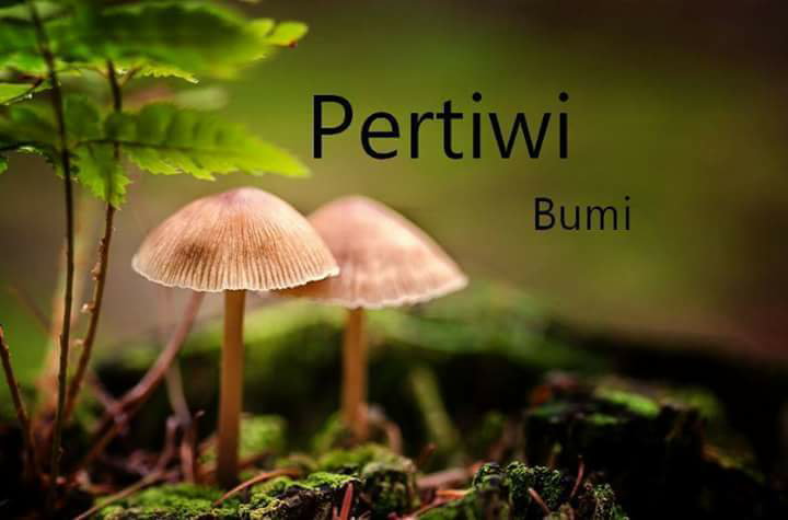 CEK ARTI NAMAMU DALAM BAHASA SANSKERTA DI SINI