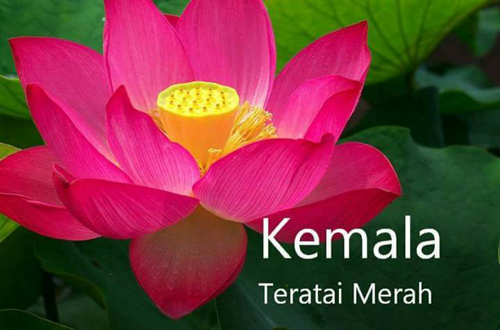 CEK ARTI NAMAMU DALAM BAHASA SANSKERTA DI SINI