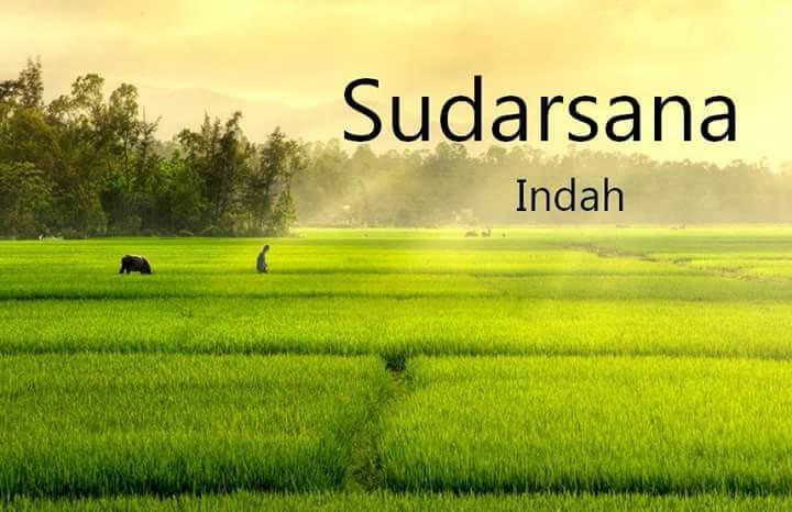 CEK ARTI NAMAMU DALAM BAHASA SANSKERTA DI SINI