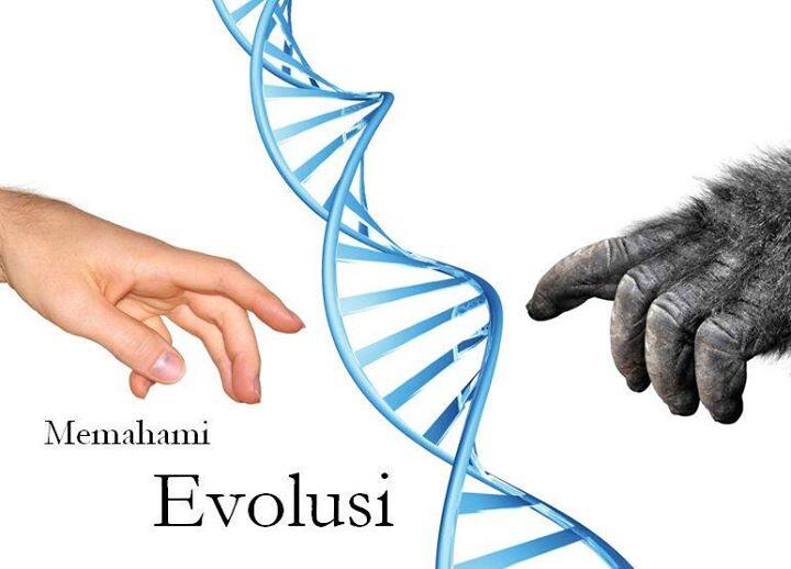 Memahami Evolusi!