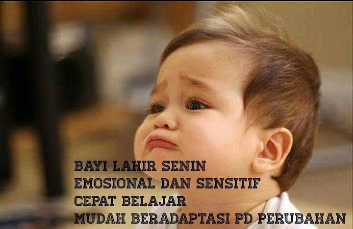 SEMOGA BERMANFAAT chapter 2