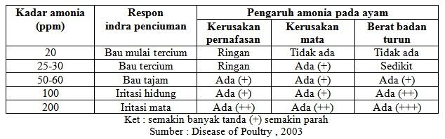 Analisa permasalahan kematian tinggi di minggu pertama