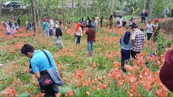 Antara Travelling, Selfie, Aktualisasi Diri, dan Ego Pribadi