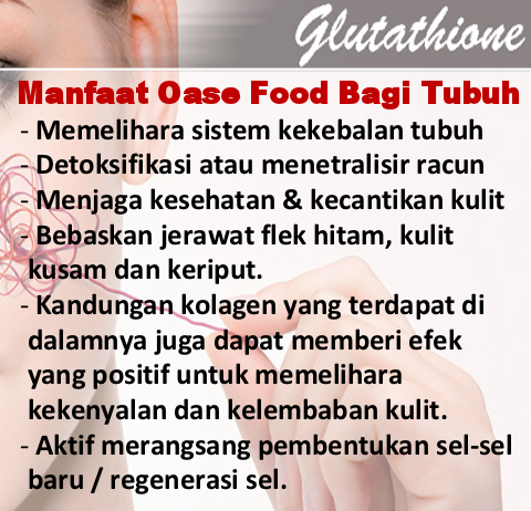 OASEFOOD Bisnis Baru = Kesempatan baru ( Launching Januari 2016 ) 