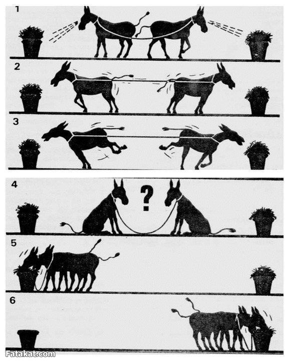 7 Gambar Yang Dapat Memotivasi Hidup Agan/Aganwati