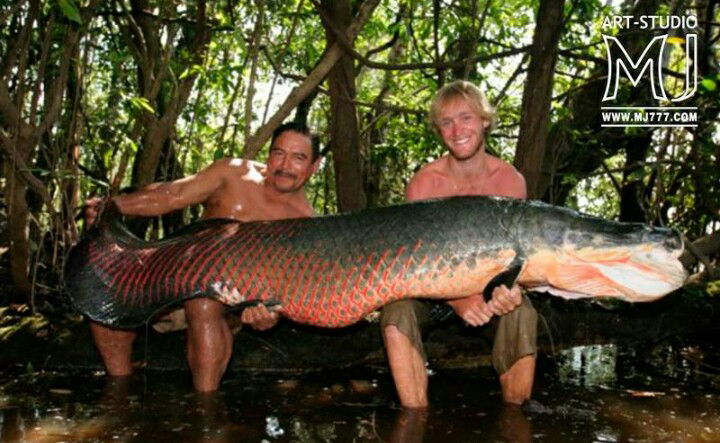 Misteri Ikan Raksasa Di Kali Ciliwung Terkuak