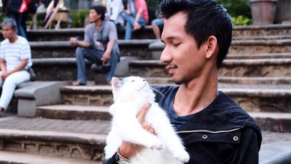 Hello Community : Kenali dan Sayangi Kucing Bersama Cat Lovers KASKUS