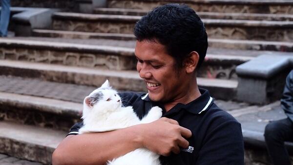 Hello Community : Kenali dan Sayangi Kucing Bersama Cat Lovers KASKUS