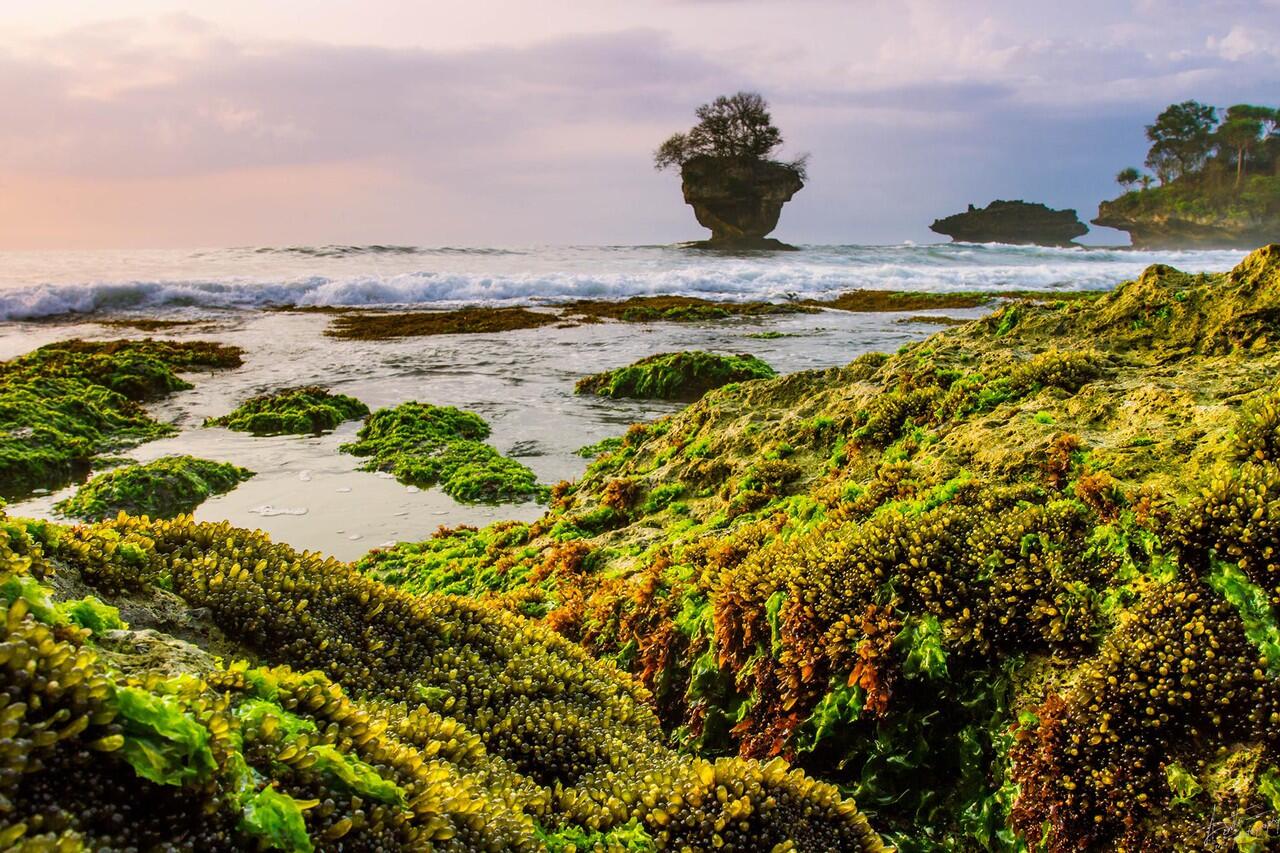 &#91;FR BikePacker&#93; pantai Madasari-Karang Tawulan- PuncakGuha-Curug Rahong (Part #2)