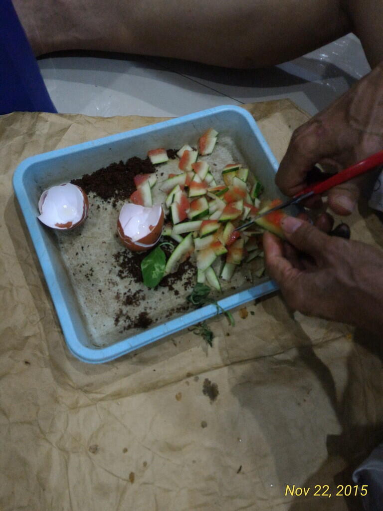 Mendulang sejuta manfaat dari sampah