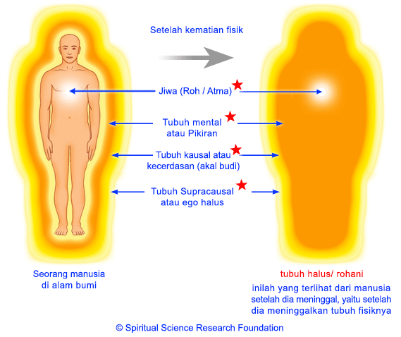 INI DIA GAN !!! HANTU YANG BERDAMPINGAN DENGAN KITA