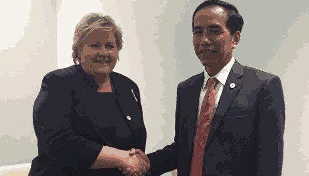 Presiden Jokowi Gelar Bilateral dengan 13 Negara di Paris, Hasilnya...