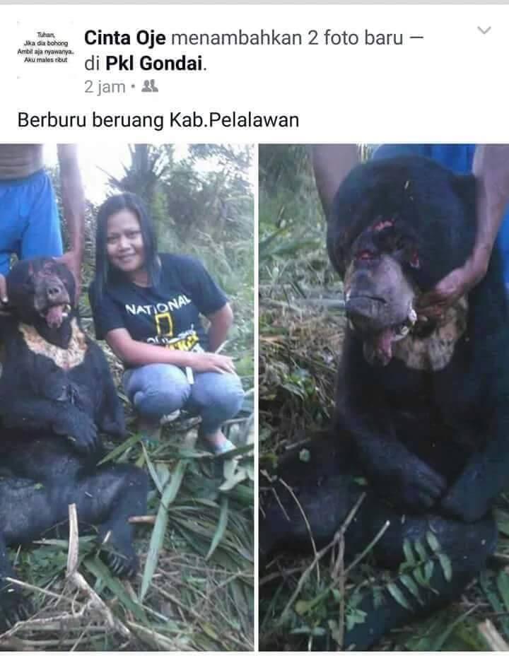 barusan nemu foto abg ababil berburu beruang