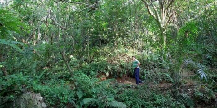 Belajar Mengelola Ekologi Sungai dari Bang Idin