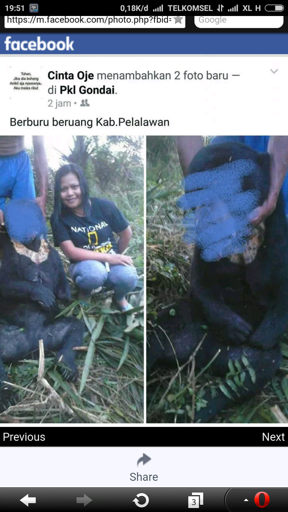 Artis baru