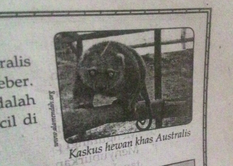 KASKUS BUKAN ASLI DARI INDONESIA