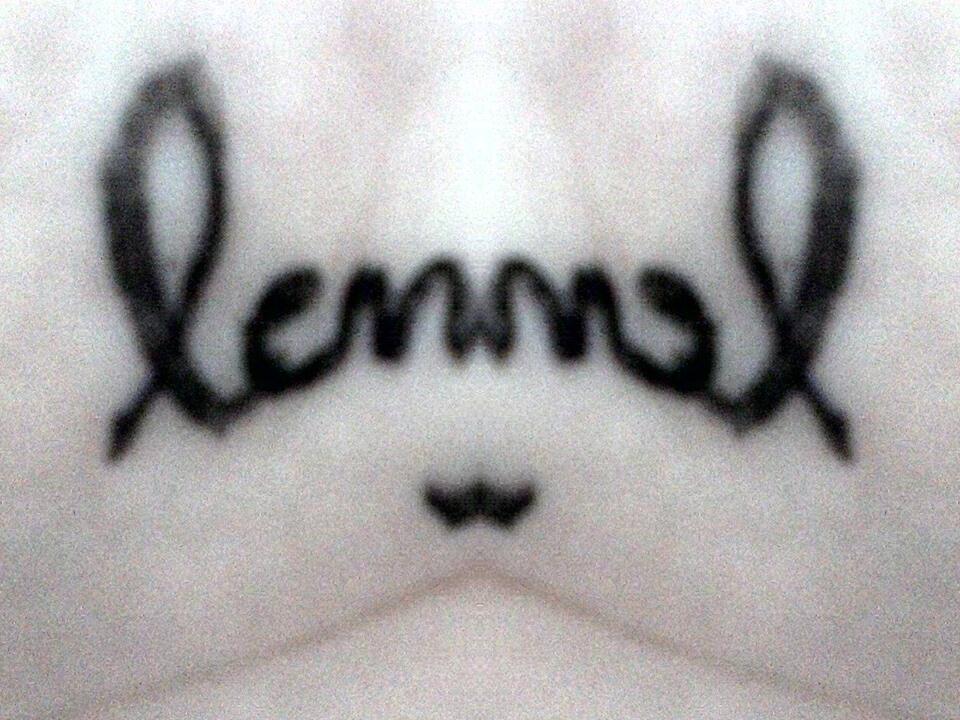 Diary of Lenny ♥
