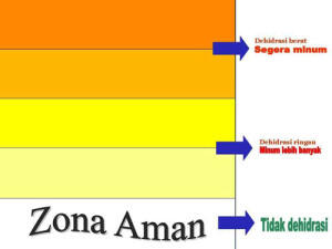 &#91;PENTING&#93; Ini Gan Hubungan Antara Kita dan Air