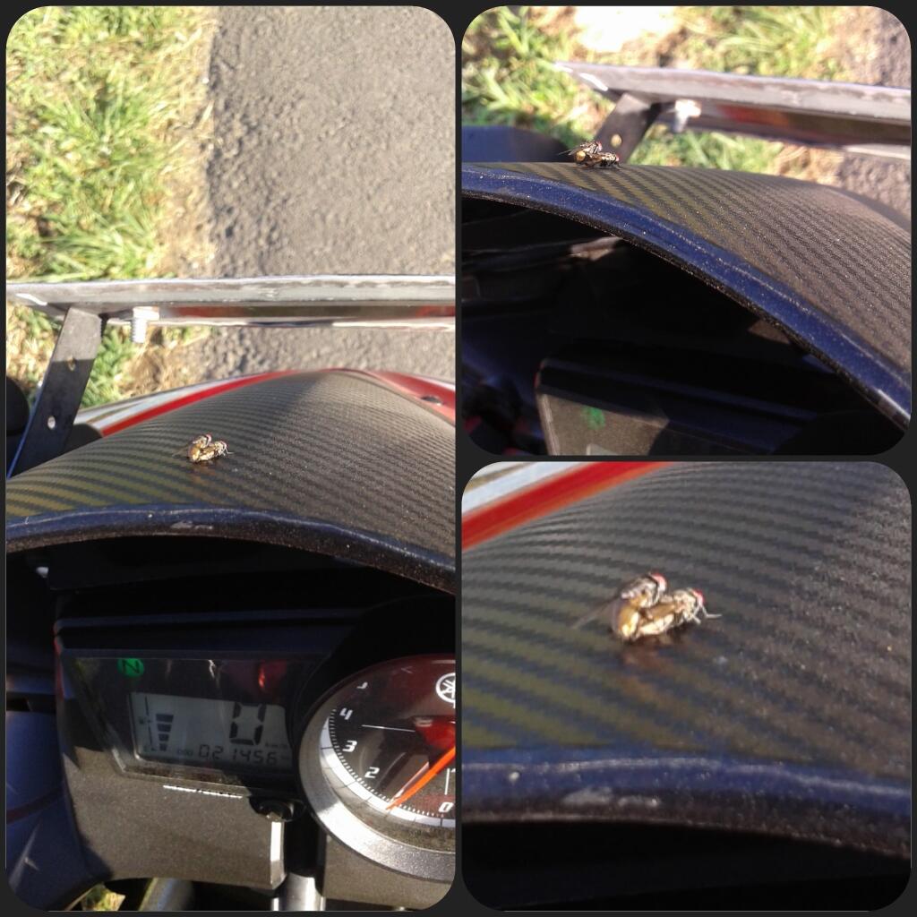 motor ane dijadiin tempat mesum!!!pict ++