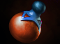 PUDGE WARS TIPS [REBORN]