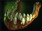 PUDGE WARS TIPS [REBORN]