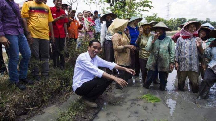 &#91;Berita widihh&#93; Mantan Stafsus SBY Sebut Jokowi Curangi Pilpres