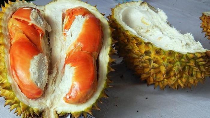 Menunggu Durian Runtuh, Bahir Disambar Petir