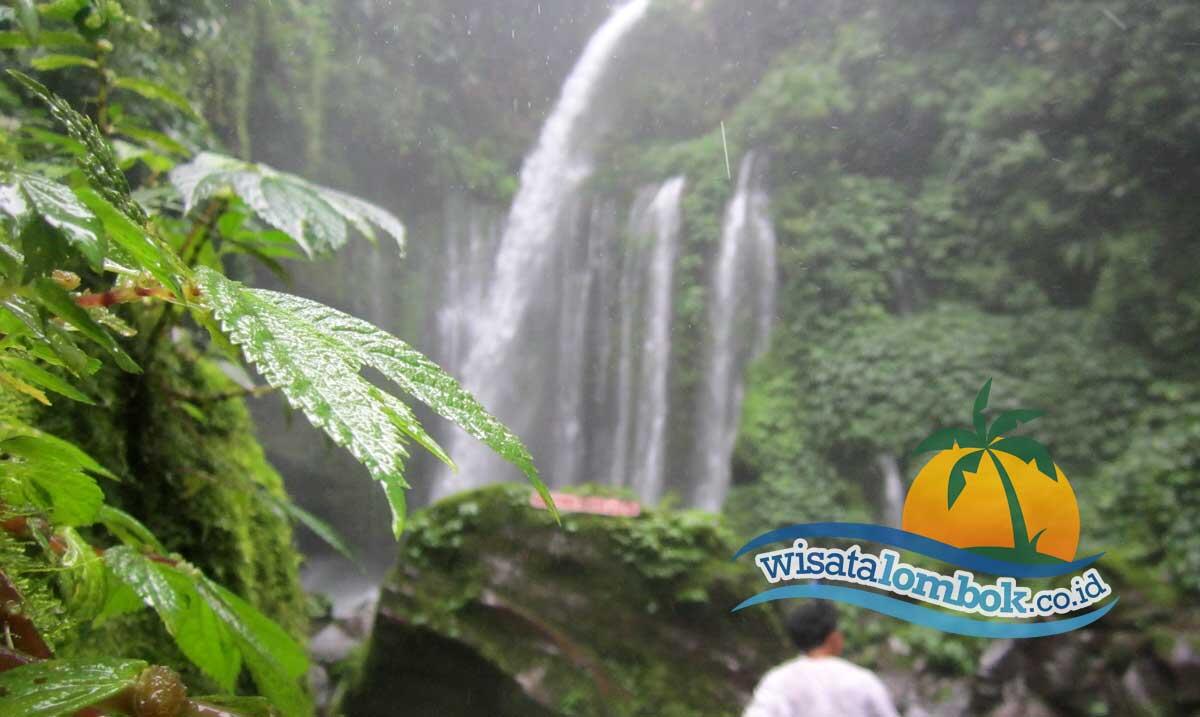 Air Terjun Terindah Di Lombok Yang Harus Anda Kunjungi