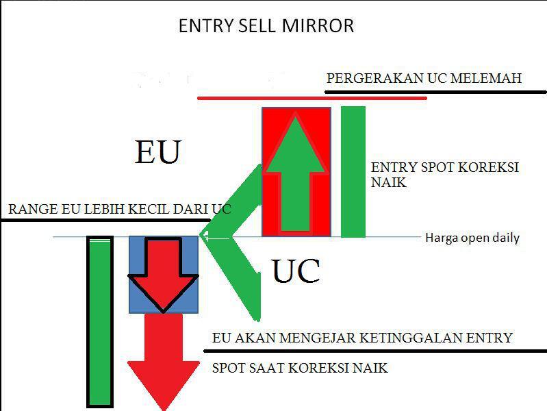 Forex Mirror Trading System