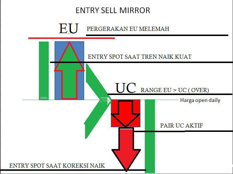 Forex Mirror Trading System