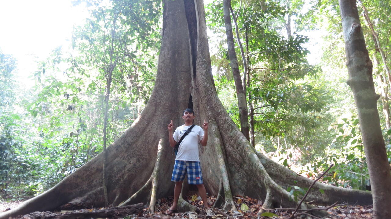 Jalan-Jalan Sambil Mengenal Taman Nasional Ujung Kulon