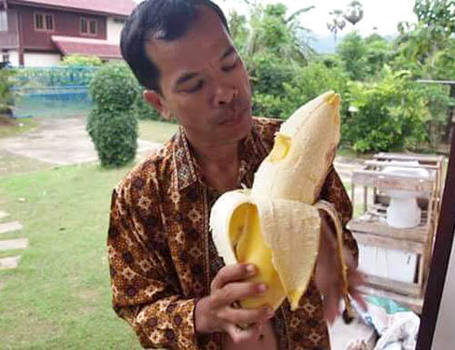  Heboh!! Pisang Raksasa di Papua Nugini 