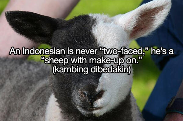 Istilah dan Bahasa Gaul Indonesia yang Bisa Bikin Bingung Orang Bule