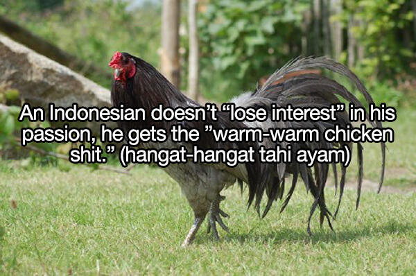 Istilah dan Bahasa Gaul Indonesia yang Bisa Bikin Bingung Orang Bule