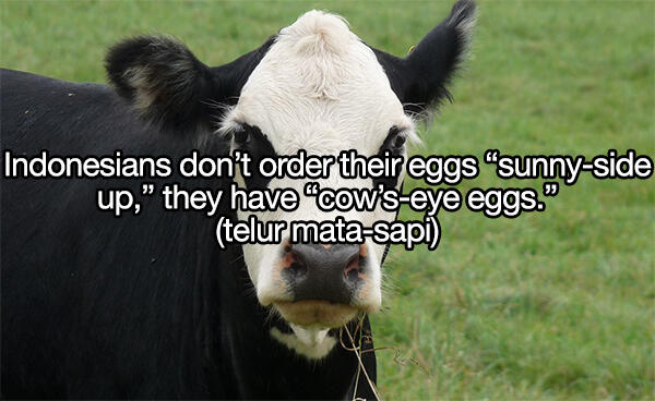 Istilah dan Bahasa Gaul Indonesia yang Bisa Bikin Bingung Orang Bule