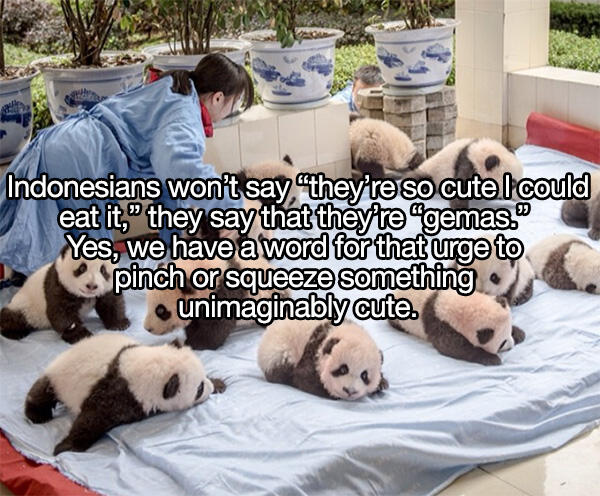 Istilah dan Bahasa Gaul Indonesia yang Bisa Bikin Bingung Orang Bule