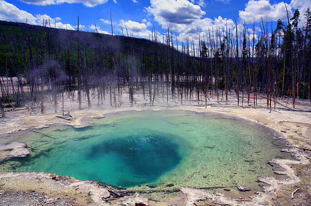 Sumber-sumber Air Panas Mengagumkan di Taman Nasional Yellowstone, Amerika Serikat