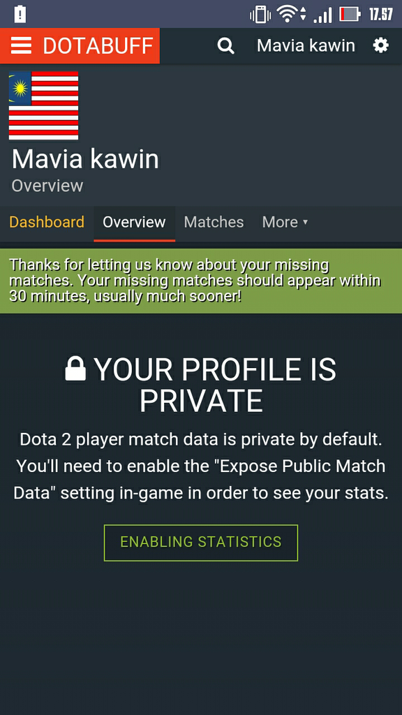 Expose public match data. Expose public match data. Expose public match data. Что такое vhs в доте 2. Настройки дота 2 на русском.