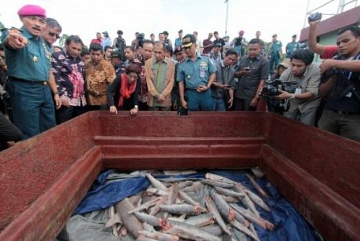 Dalam Hal-hal Ini, Indonesia Menempati Posisi Nomor 1 di Dunia Lho...