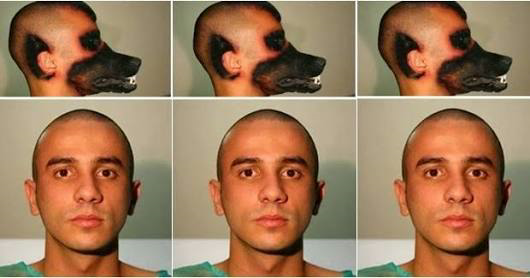 ini orang emang kayak anjing gan!