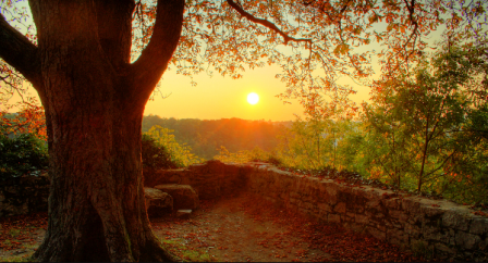 10 Hal Yang Harus Dilepaskan Di Akhir Tahun