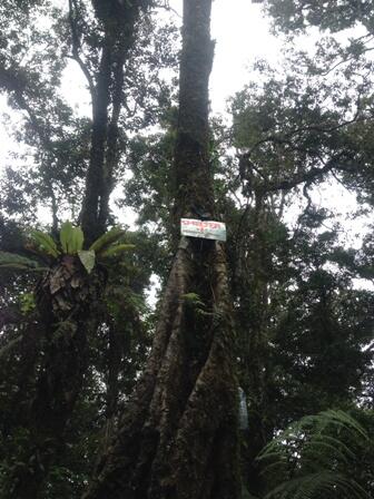 DEMPO - Nikmati Perjalanan-nya, Puncak sebagai Bonus-nya 