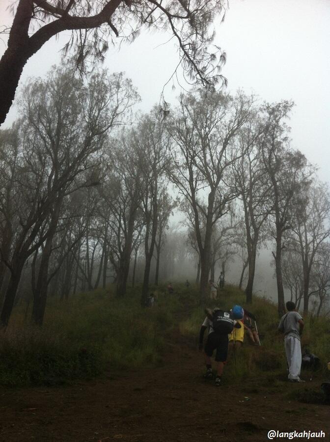 NAIK RINJANI DENGAN BIDADARI