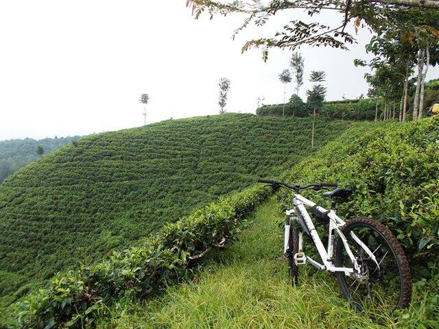 &#91;CATPER&#93; PESONA GUNUNG BUTAK