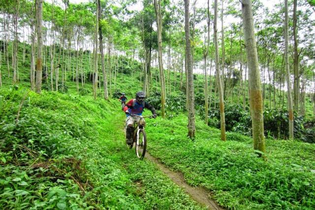 &#91;CATPER&#93; PESONA GUNUNG BUTAK