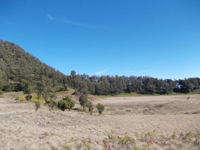 &#91;CATPER&#93; PESONA GUNUNG BUTAK