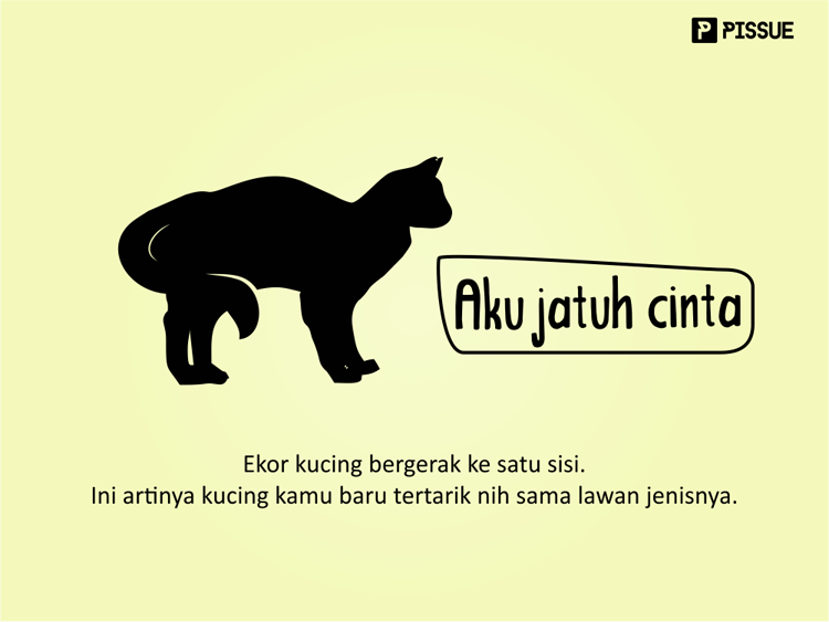 Tahukah Kamu Kalau Ekor Kucing Itu Bisa Menunjukan Ekpresi Si Kucing?