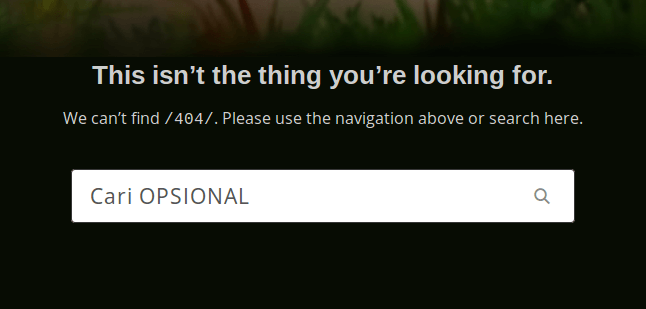 Mentok Error 404? Lakukan ini gan!