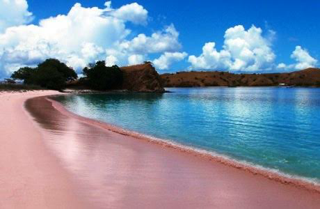 UnikInilah Keindahan 2 Pantai Berpasir Pink Yang Ada Di Indonesia